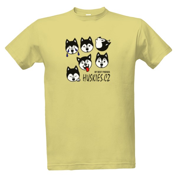 Tričko s potiskem Pánské Friends 